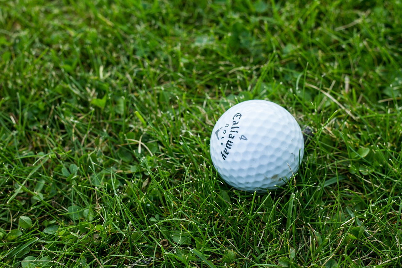 golf-1869983_1280